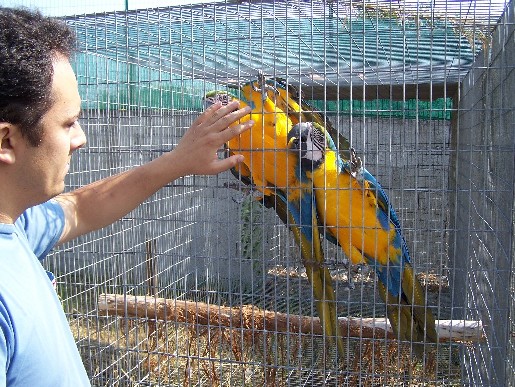 100_2845.jpg