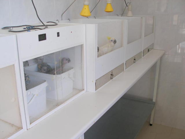 p1010194-1.jpg