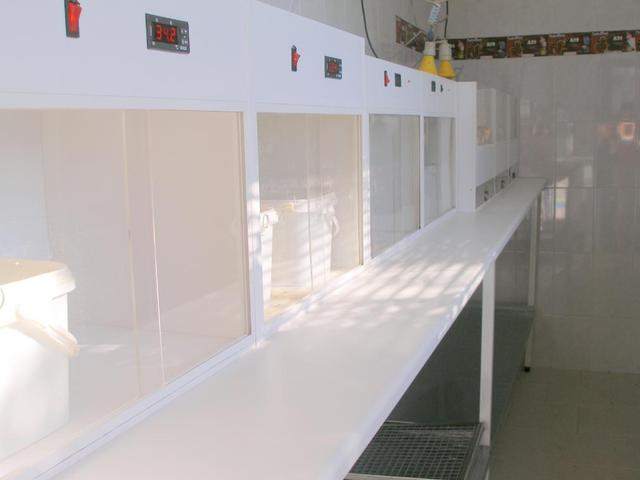p1010195.jpg