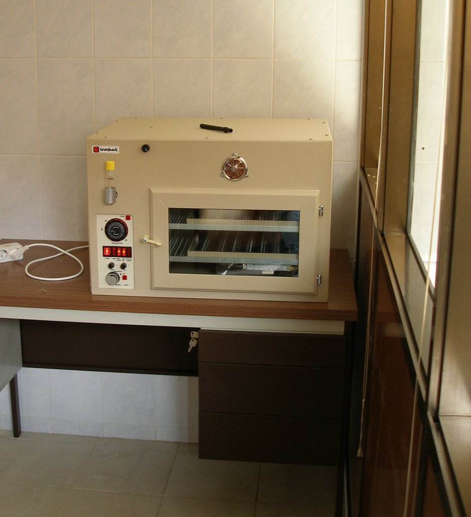 p1010306.jpg